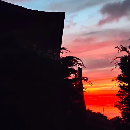 Casa Rural Quinta Los Naranjos Tigalate Kültér fotó