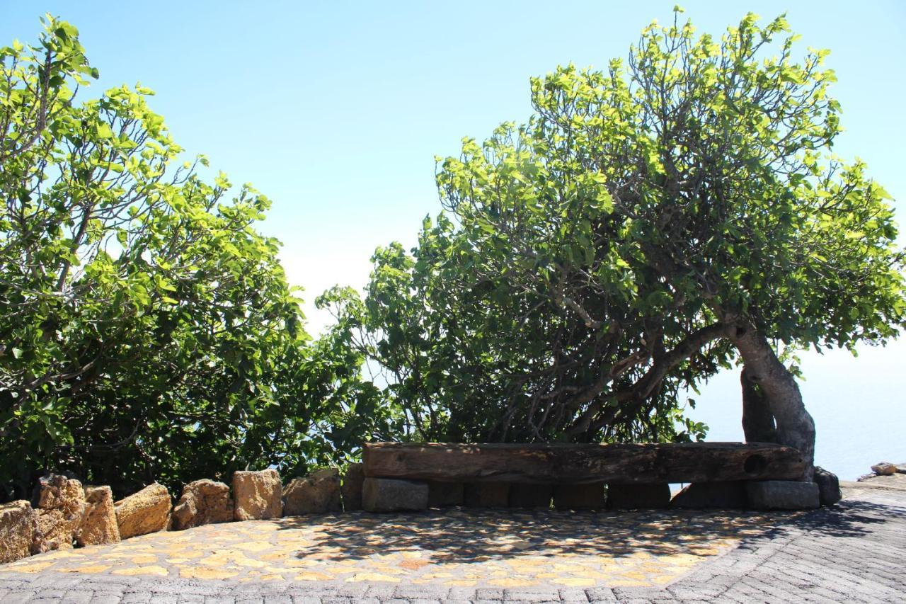 Casa Rural Quinta Los Naranjos Tigalate Kültér fotó